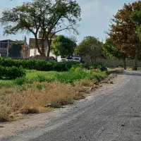 زمین روستا قاضی پایین 1000 متر مدارک تکمیل|فروش زمین و ملک کلنگی|سلفچگان, |دیوار