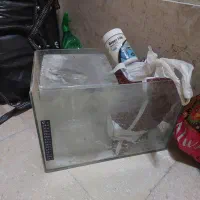 دو عدد آکواریوم و لوازم