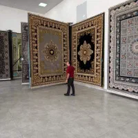 فرش افتاب2550تراکم واقعی زیر قیمت|فرش|شیراز, لاله|دیوار
