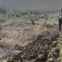 باغبانی و شخم با تیلر