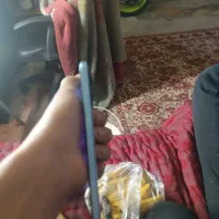 نوت 12s|موبایل|مشهد, کشف|دیوار