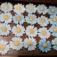 گیفت شمع بابونه
