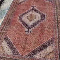 ریزه ماهی دودرسه جفت