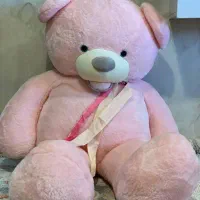 خرس ولنتاین