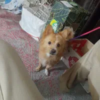 به واگذاری داده میشودقیمت ۱۰میلیون