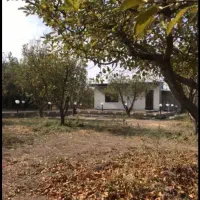 باغچه-ویلایی