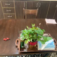 میز و صندلی ناهارخوری ۴نفره