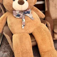 خرس بزرگ|اسباب‌بازی بچه|سهند, |دیوار