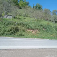 زمین باغ مسا حت 2500 متر