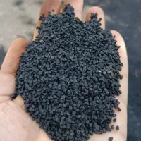 بذر پیاز مینروا