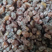 کشمش ارگانیک|خوردنی و آشامیدنی|کرج, گلشهر|دیوار