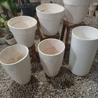 استند ، گل|گل و گیاه طبیعی|مرودشت, فاز دوم شهرک فرهنگیان|دیوار