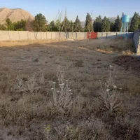 زمین باغی دودج زرقان|فروش زمین و ملک کلنگی|شیراز, غدیر جنوبی|دیوار