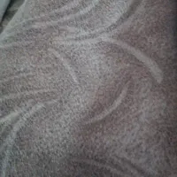 موکت کف برای هشتادمترزیربنا