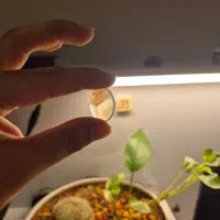 سنگ کبود آبی|جواهرات|اصفهان, حسین‌آباد|دیوار