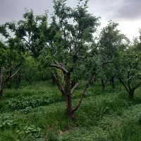 420م-بافت-ویلایی-قابل-ساخت