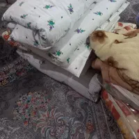 تشک و پتو  نو