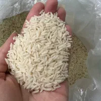 برنج هاشمی سورتینگ شده (تناژ محدود)