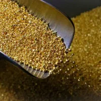 مقداری طلا پیدا شده