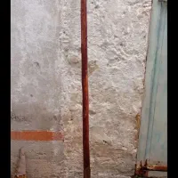 بیل
