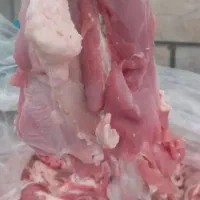 دنده گوسفندی|خوردنی و آشامیدنی|هشتگرد, شهرک وحدت|دیوار