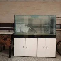 آکواریوم بزرگ|ماهی|تبریز, |دیوار