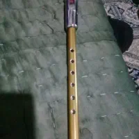 یه عدد نی یا فلود