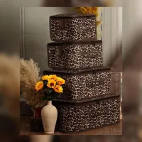 سرویس بقچه نظم دهنده