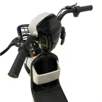 موتور برقی پاکشتی دونفره مارک E.BIKE قسطی بخر|دوچرخه، اسکیت، اسکوتر|اصفهان, بوستان ناژوان|دیوار