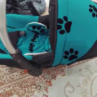 کریر و آغوشی