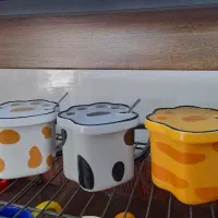 ماگ درب دار