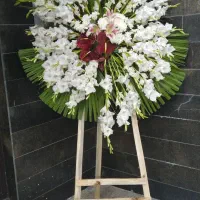 تاج گل|گل و گیاه طبیعی|تهران, فرحزاد|دیوار