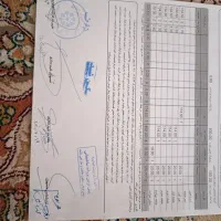 زمین موقعیت عالی معاوضه با آپارتمان در مشهد|فروش آپارتمان|تربت‌حیدریه, ۴۵ متری|دیوار