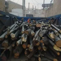 خرید چوب به قیمت خوب|خدمات باغبانی و درختکاری|صفادشت, |دیوار