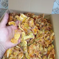 مجسمه آهنی و پره زردالو جون
