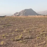 زمین-برای-ساخت-ساز-صنعتی-کشاورز-زنگی-آباد