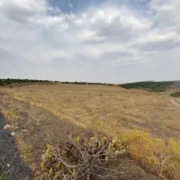 فروش-زمین