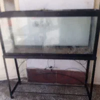 آکواریوم بزرگ شیک وسالم به پایه مخصوص خودش