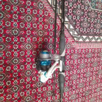 چوب وچرخ قزلی|ماهیگیری|سنندج, |دیوار