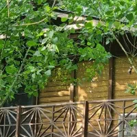 فرار به دنیای چوب و طبیعت ،یک ویلای متفاوت|فروش خانه و ویلا|اصفهان, سیچان|دیوار