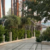 طراح مسلط به فتوشاپ