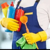 نظافت منزل انجام میدم