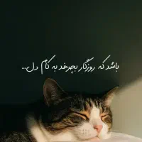 صندوق وام خانگی