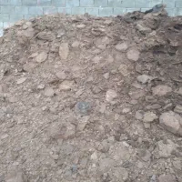 کود حیوانی