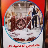 نیرو کار در قالیشویی