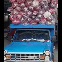 قالیشویی وزیری تمام اتوماتیک.شستشو شگفت انگیز۴۰۰