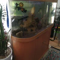 آکواریوم یو شکل (u) شیشه خم،کاملا سالم|ماهی|تهران, دهقان|دیوار