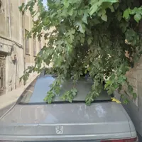 پژو آر دی آی (RDi) بنزینی، مدل ۱۳۸۲|خودرو سواری و وانت|تهران, امین حضور|دیوار