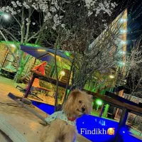 نگهبانی و سرایداری در ویلا