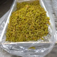 کشمش|عمده‌فروشی|شیراز, شهرک مهدیه|دیوار